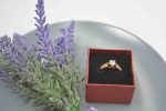 Ring 43 G