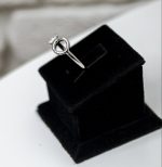Ring 133 S