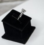 Ring 133 S