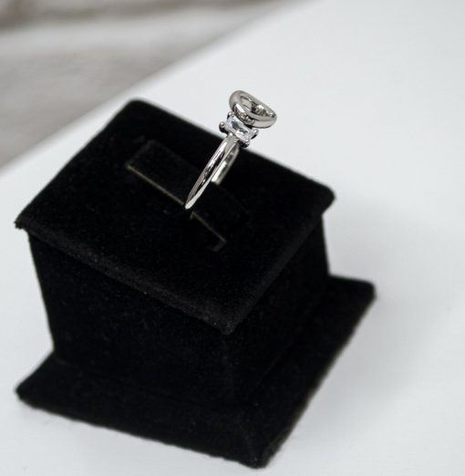 Ring 133 S