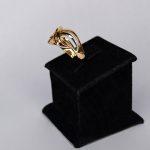 Ring 173 G